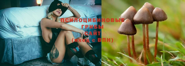 jwh Дмитров
