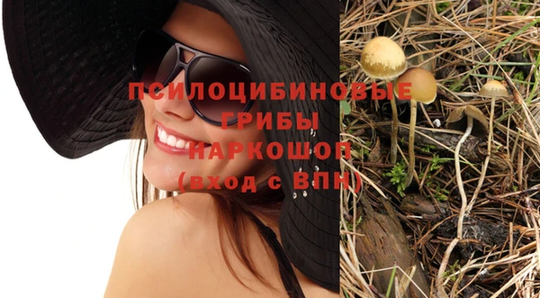 jwh Дмитров