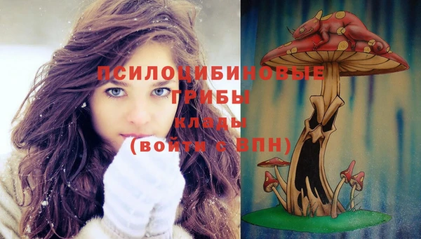 jwh Дмитров