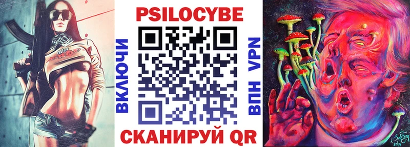 Галлюциногенные грибы Psilocybe  Рузаевка 
