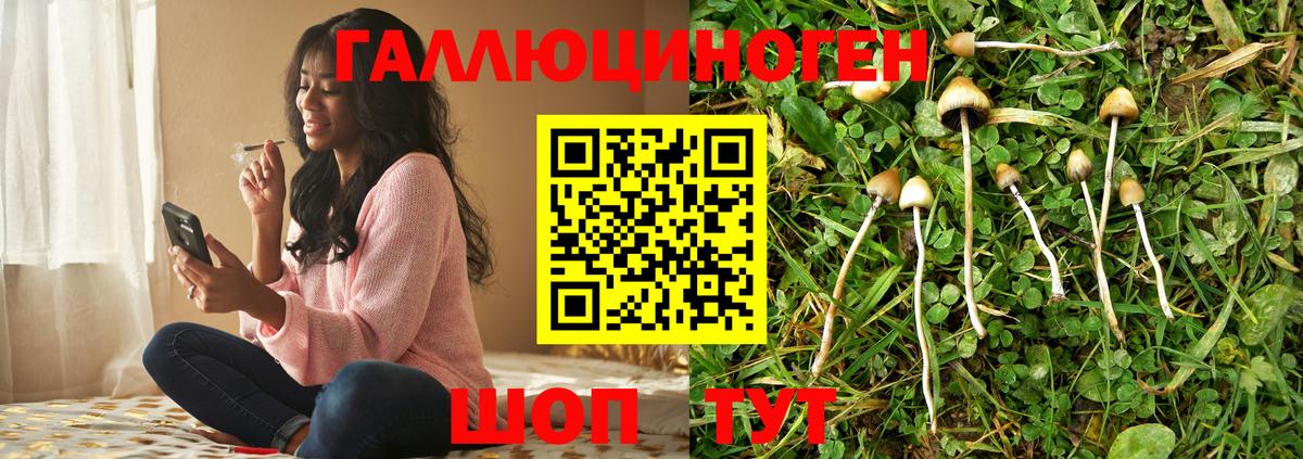 закладки  Вход с VPN  Рузаевка  Галлюциногенные грибы ЛСД  Галлюциногенные грибы мицелий 