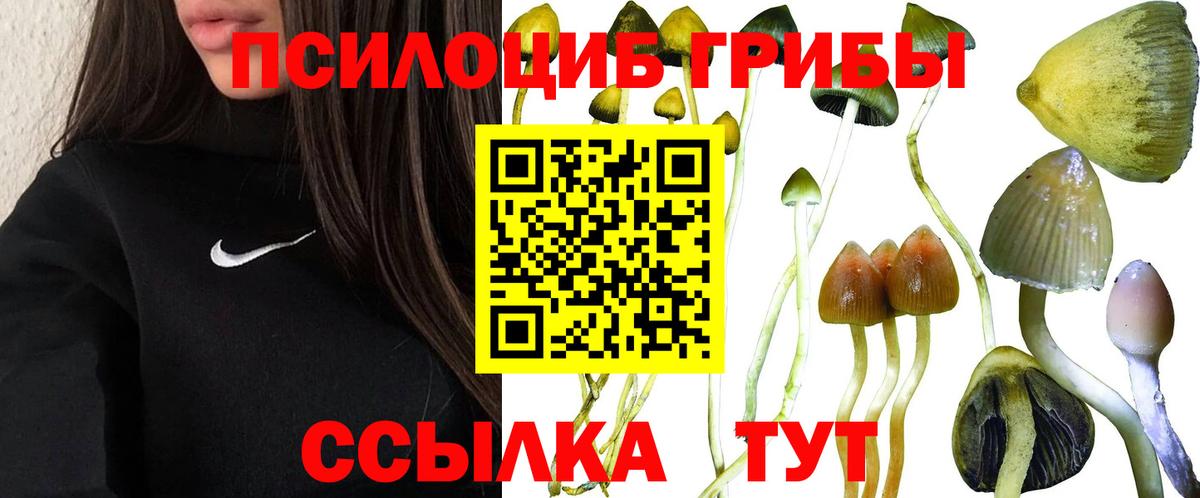 Галлюциногенные грибы прущие грибы Рузаевка