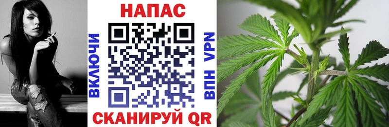 Бошки марихуана гибрид Рузаевка